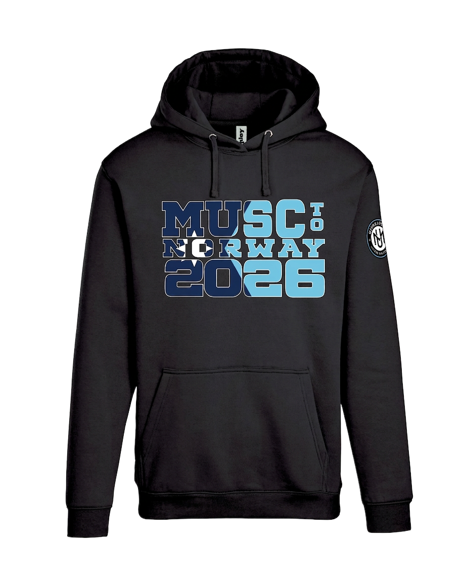 Lincoln Lions custom hoodie